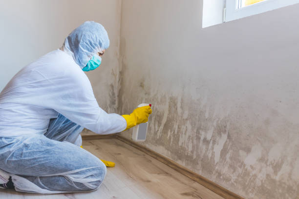 Licensed Bathroom Mold Removal service in Fulton, TX - Car Mold Remediation
